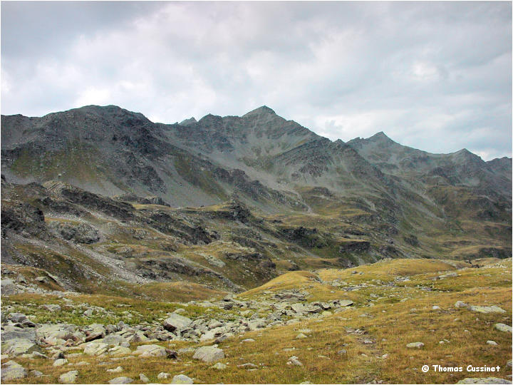 Accueil/Alpes - Randonnes/Mont Thabor - 3200 mtres - Ete 2003 - Mont_Thabor_00206m