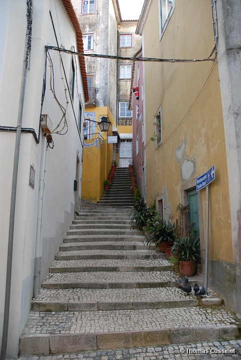 Accueil/Voyage à Lisbonne et ses environs - Décembre 2005/Sintra - Environ de Lisbonne - Sintra_0003