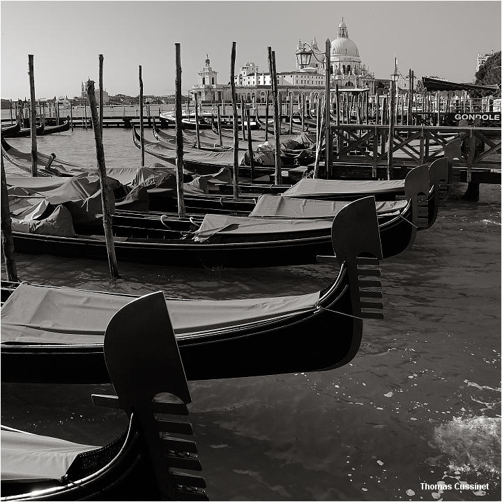 Accueil/Venise et ses environs - Venise_dsc0816_nb_site